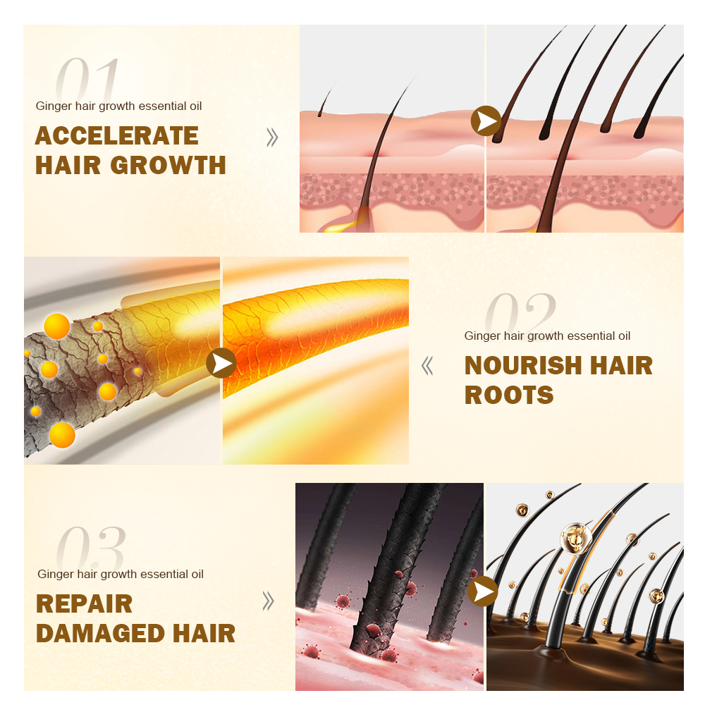 PURC Hair Growth Oil Ginger &  - Hair Care Essence Oil ulasan dan harga